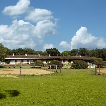 Residential Horse Club Costa Brava Santa Cristina d'Aro Room photo