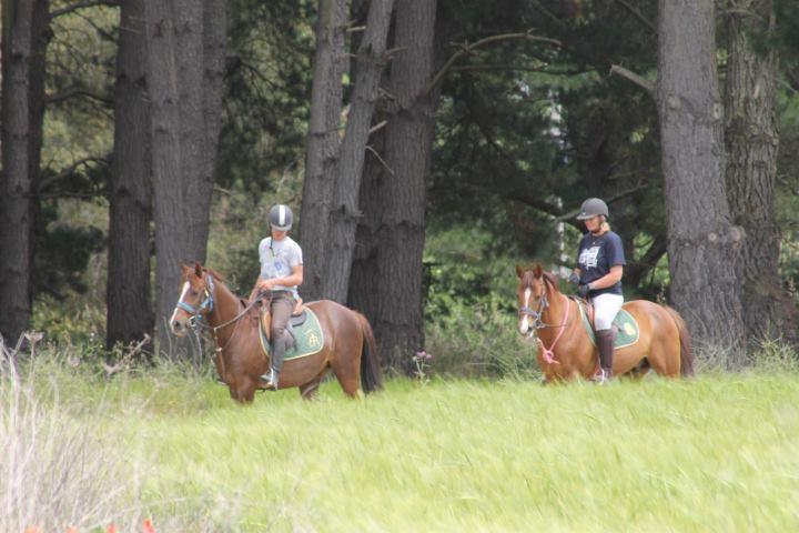 Residential Horse Club Costa Brava Santa Cristina d'Aro Exterior photo