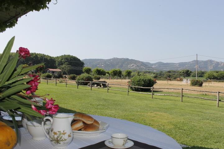 Residential Horse Club Costa Brava Santa Cristina d'Aro Room photo